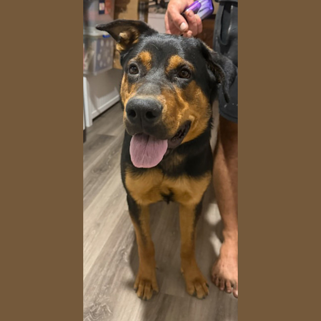 Photo of Bundee