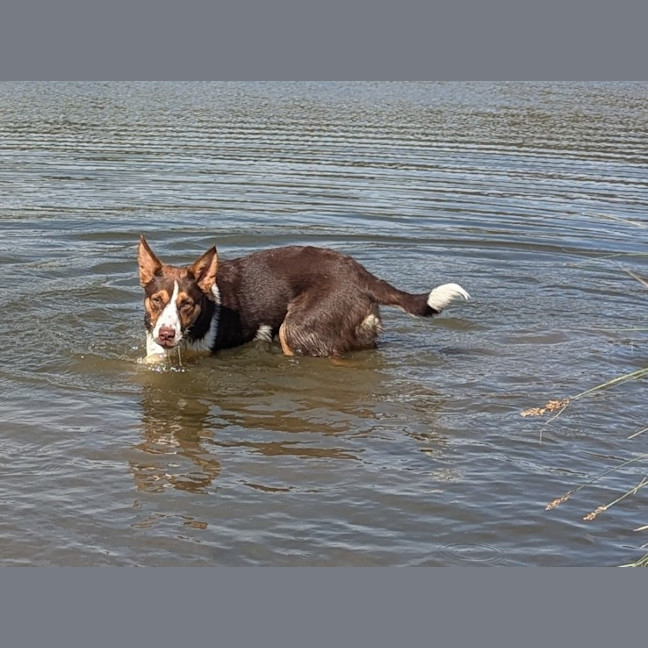 Photo of Jasper