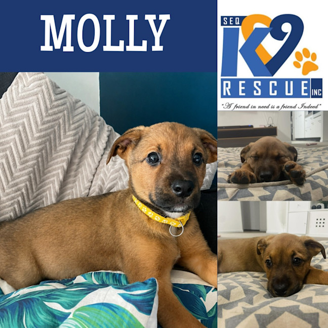 Photo of Molly