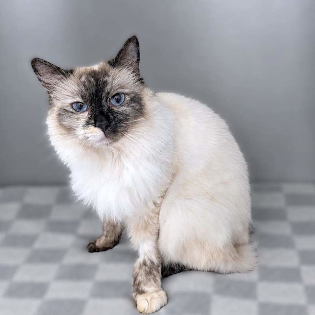 Photo of Matilda
