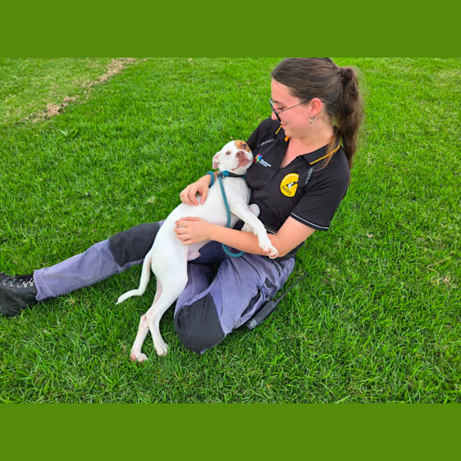 Photo of Pretzel Imp 719