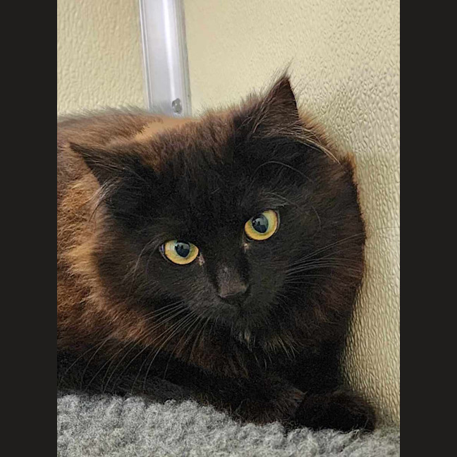 Photo of 🍫 Malteaser 5469 🍫