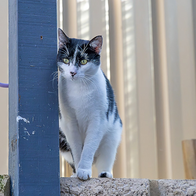 Photo of Erin
