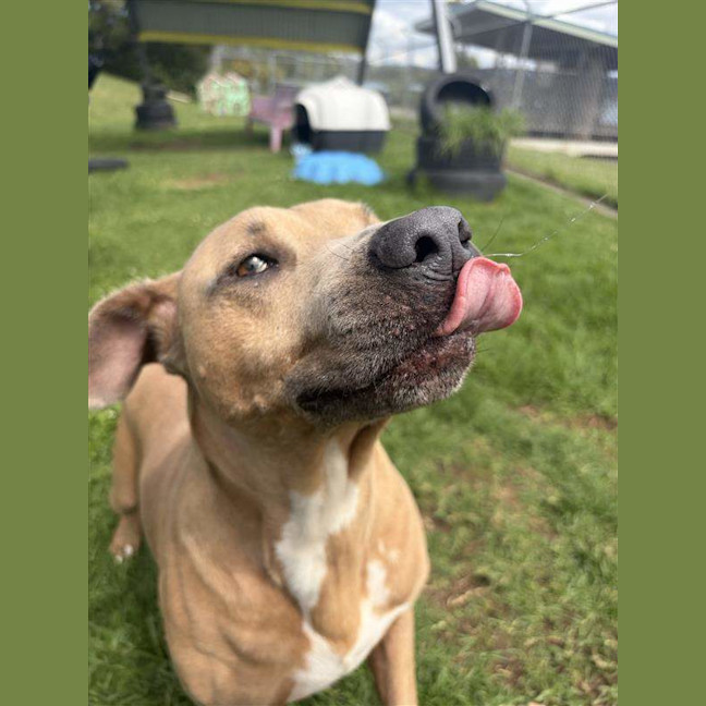 Photo of Lucy