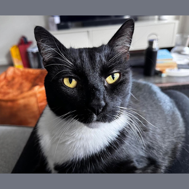Photo of Jesse 