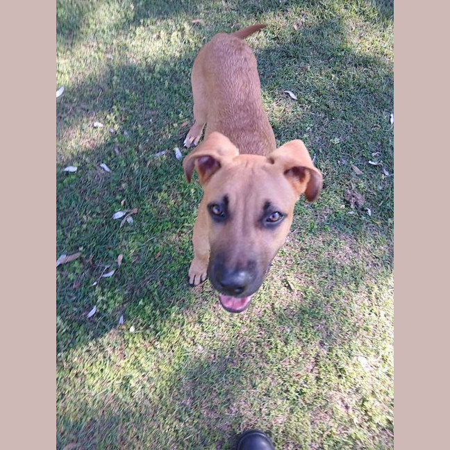 Photo of Pumpkin