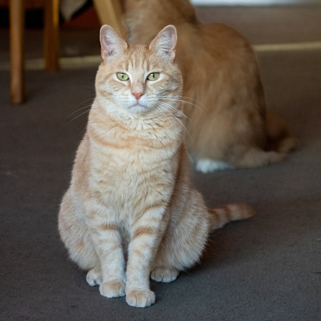 Photo of Sally & Denny