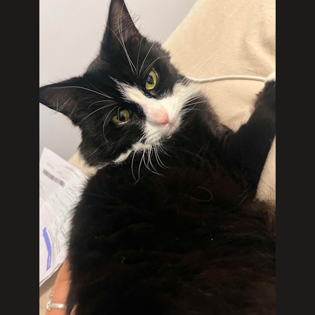 Photo of Lexie