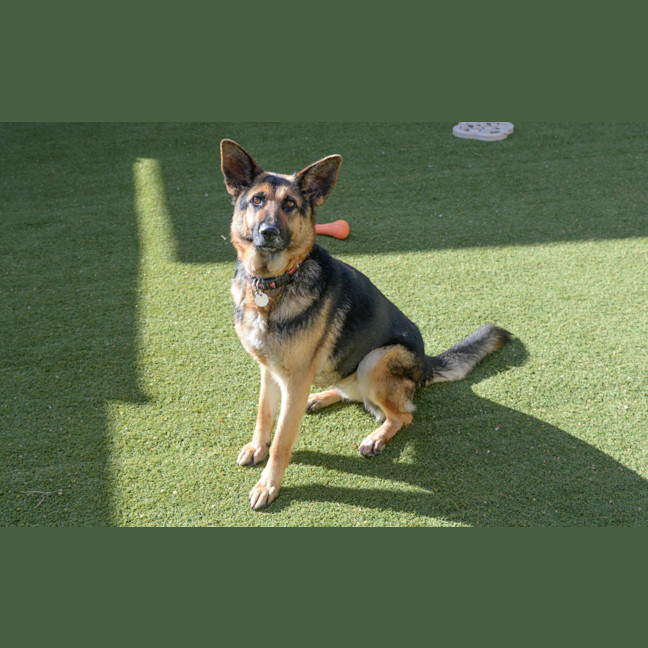 Photo of Tia