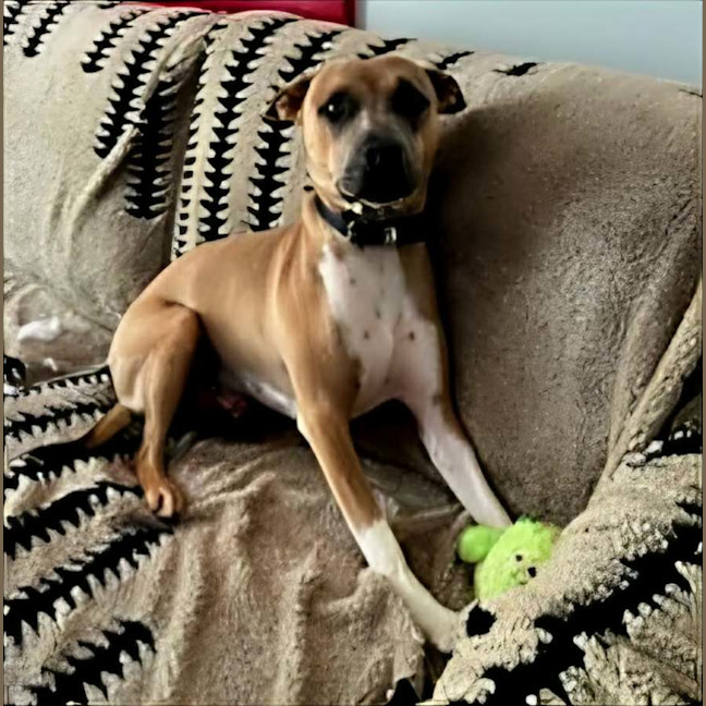 Photo of Duke