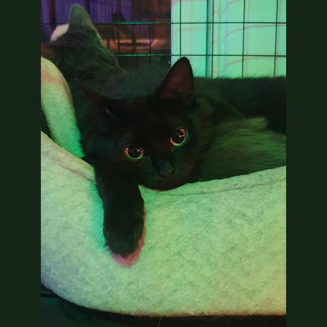 Photo of Thunder And Storm