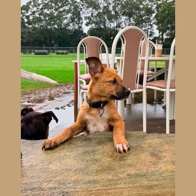 Photo of Winston