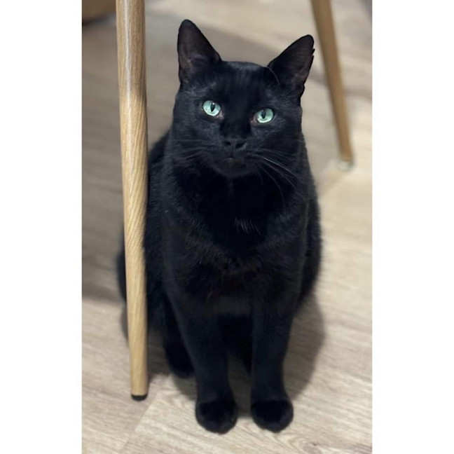 Photo of 11246   Luther