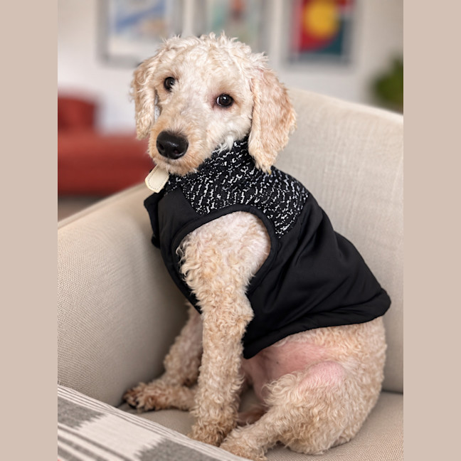 Photo of Tilly