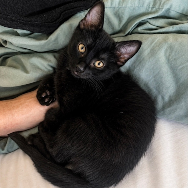 Photo of Angel
