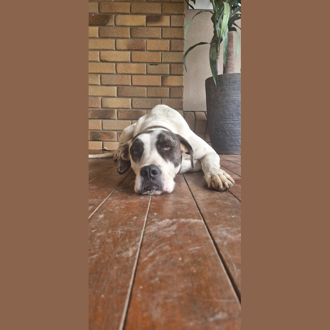 Photo of Rosie