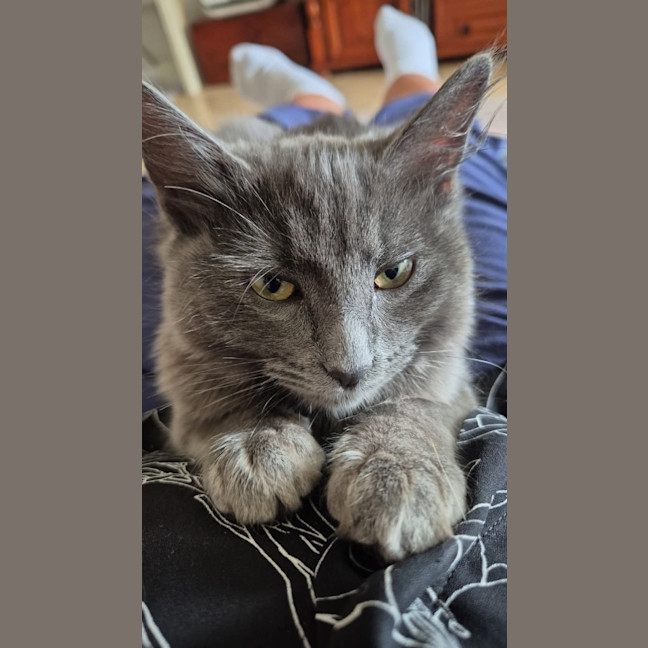 Photo of Nyla