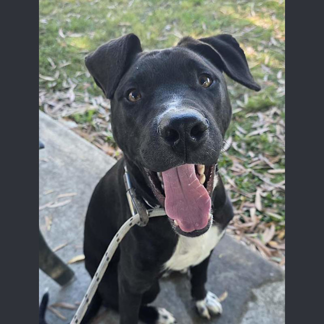 Photo of Bert