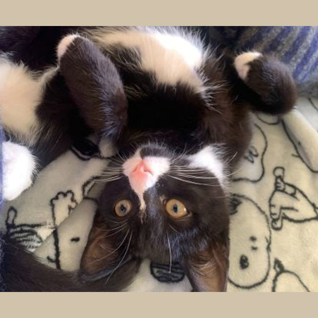 Photo of Prudence
