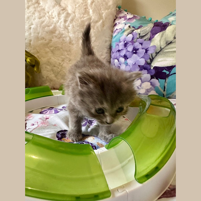 Photo of Binx Clarke