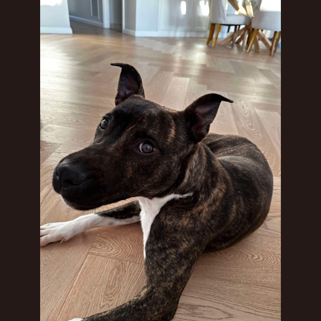 Photo of Fred
