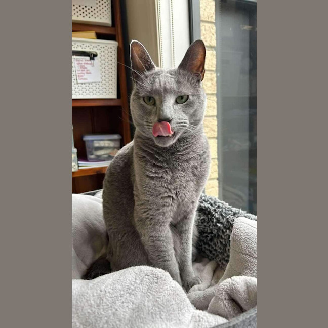 Photo of Jasper