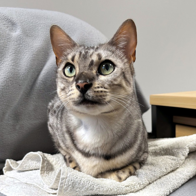 Photo of Jagerbomb Rsua013856