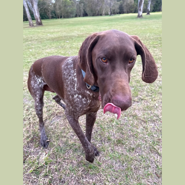 Photo of Cash