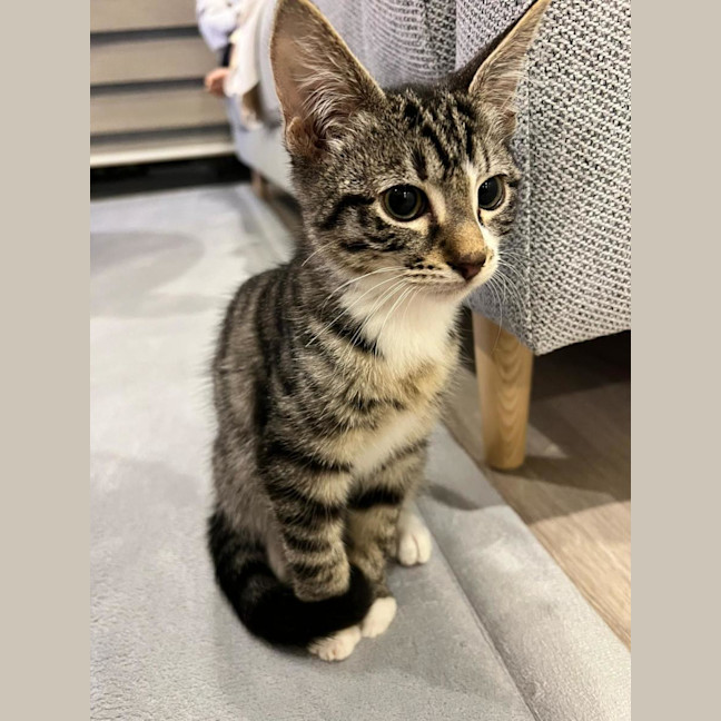 Photo of Bingo