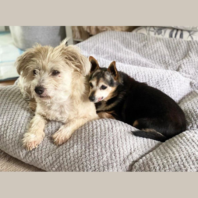 Photo of Miguel Kumara