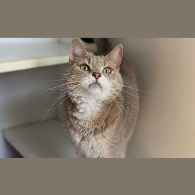 Photo of Aubrie