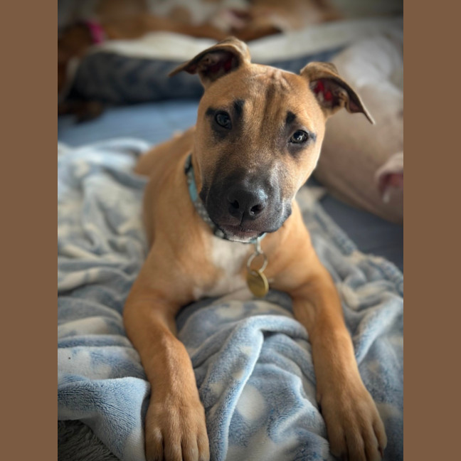Photo of Sassypants