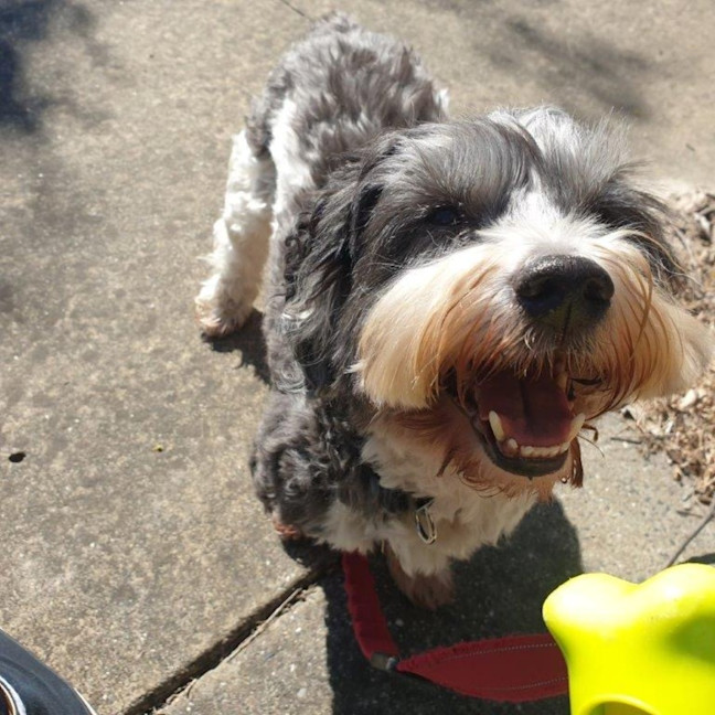 Photo of Mack Jablonski