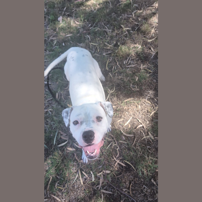 Photo of Sheriff