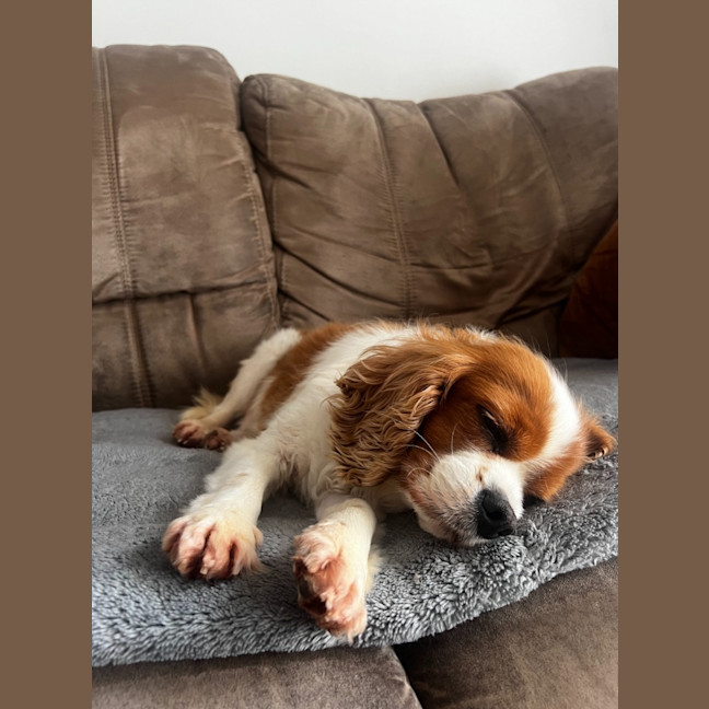 Photo of Millie