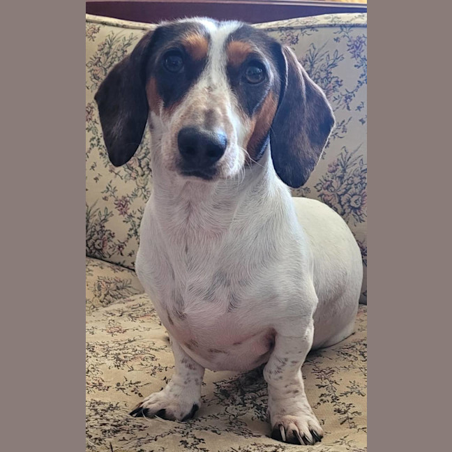 Photo of Roger