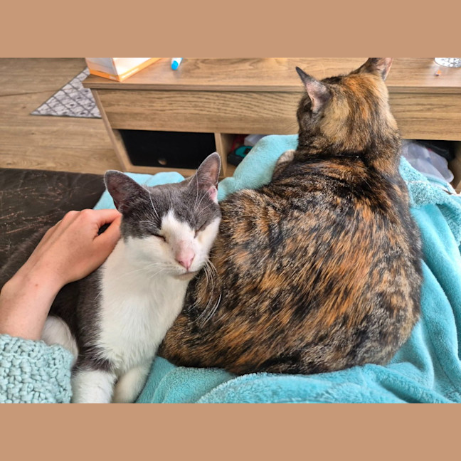 Photo of Stu / Sophie