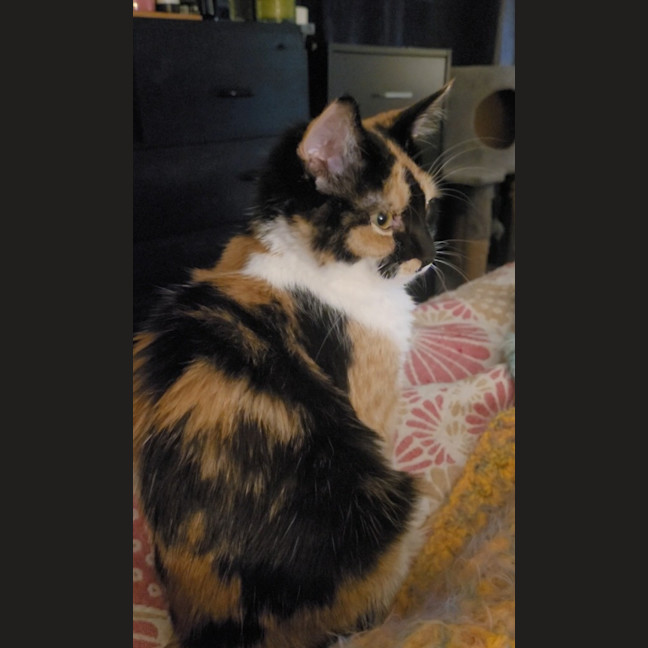 Photo of Jj Moo