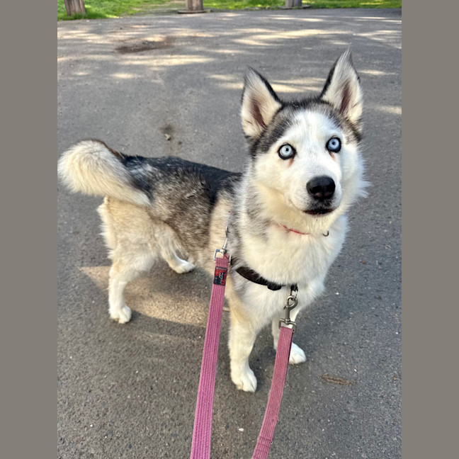 Photo of Tinkerbell