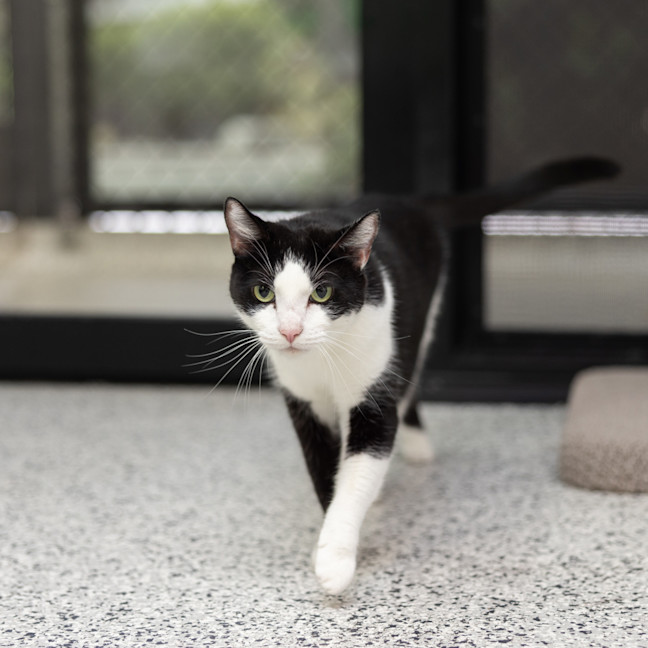 Photo of Party Pants