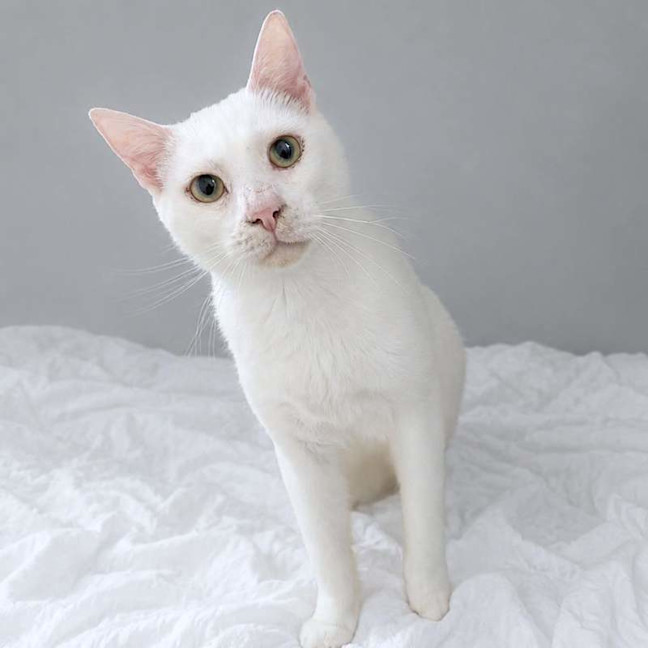 Photo of Mr Snow