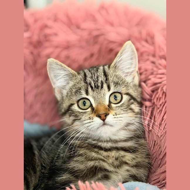 Photo of Berry 