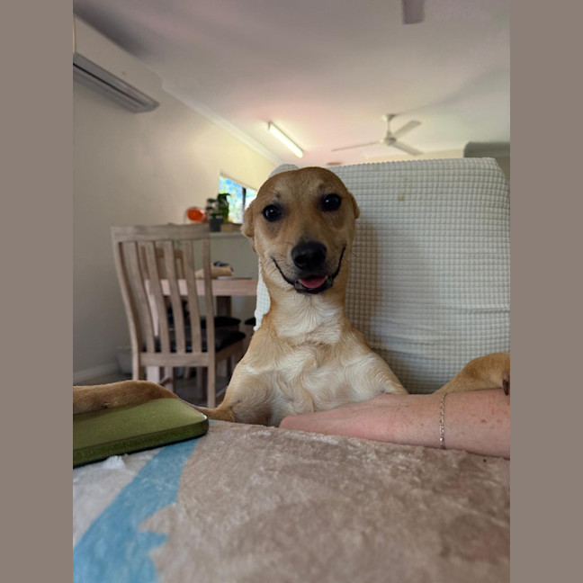 Photo of Archie