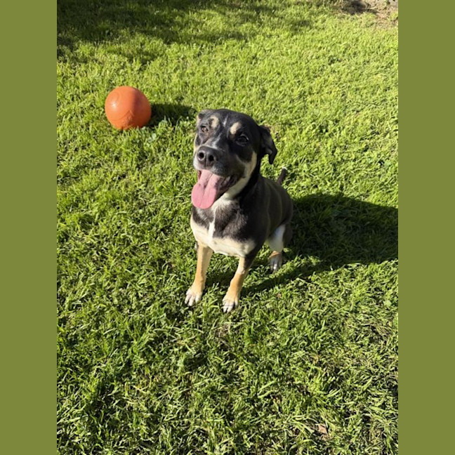 Photo of Rosy