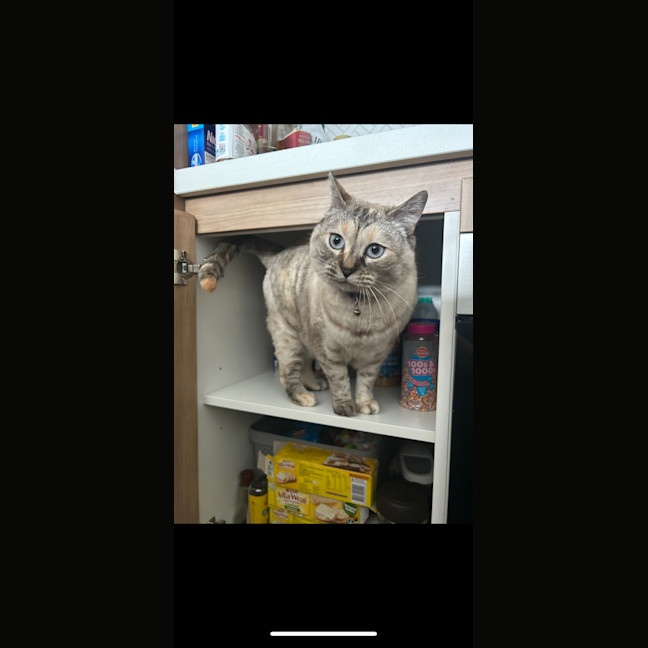 Photo of Matilda ( Tilly ) 