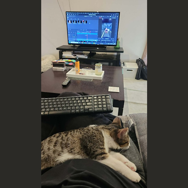Photo of Peanut