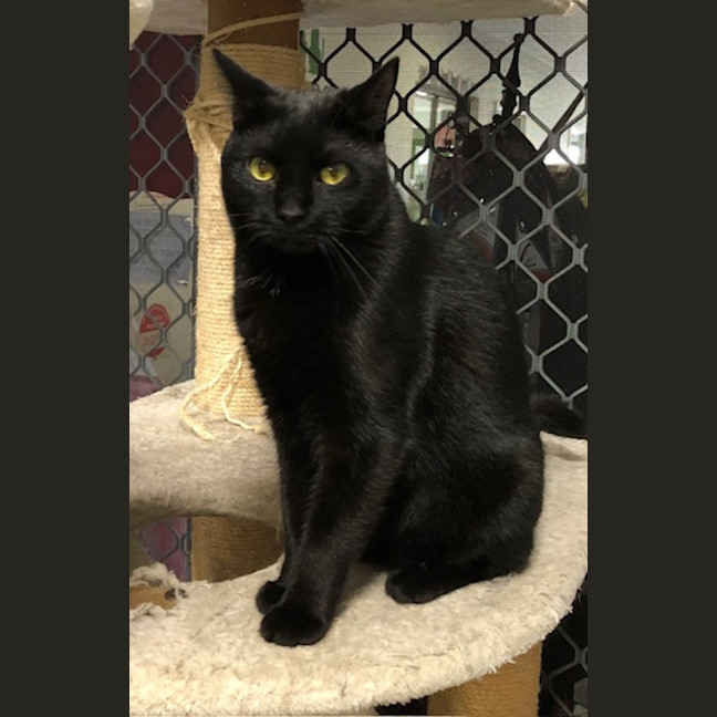 Photo of Cash And Radley