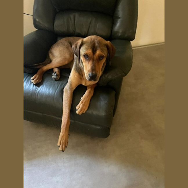 Photo of Lily