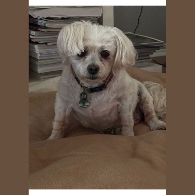 Photo of Wally And Ollie Peggotty