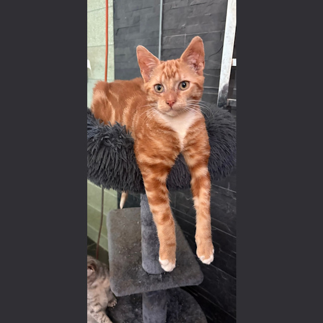 Photo of Gio